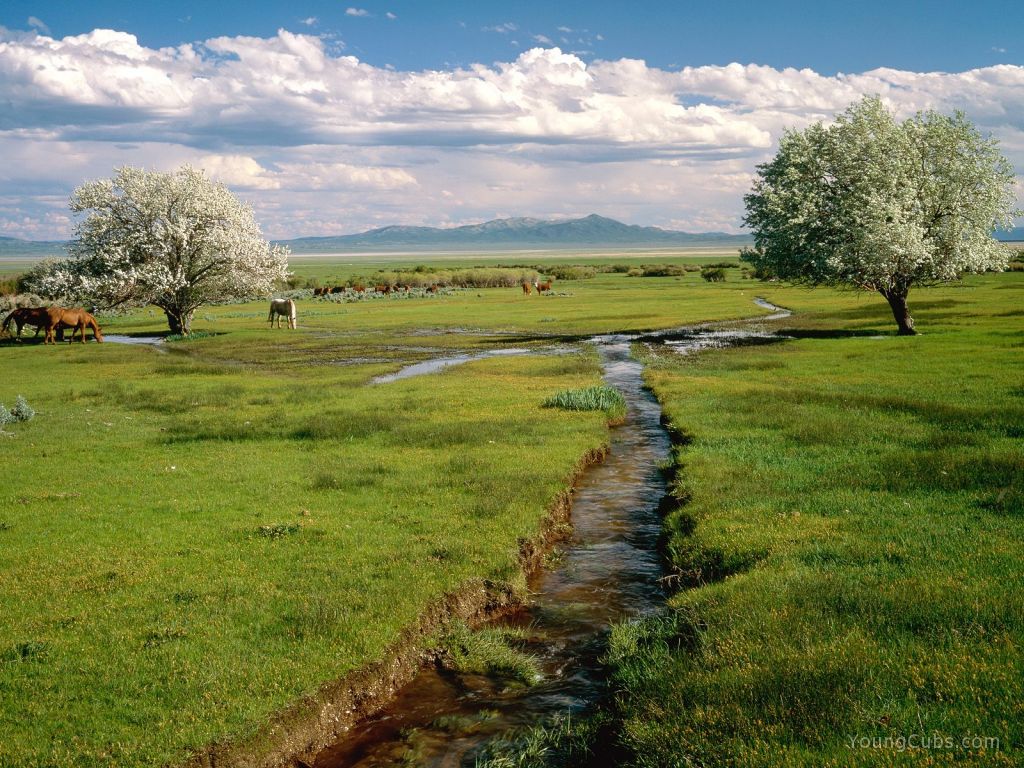 Ruby Valley, Nevada